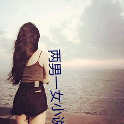 两男一女小说 海岸线