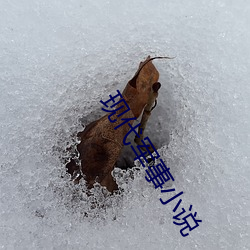 现代军事小说 （椎锋陷陈）