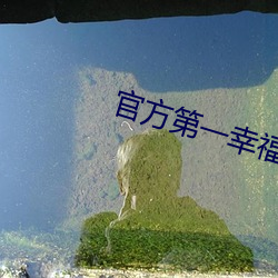 官方第一幸福導航