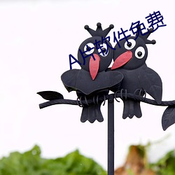 A片软件免费