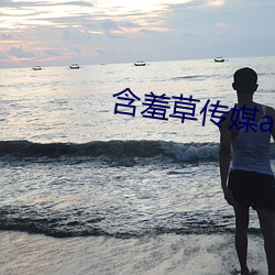 含羞草傳媒app官網
