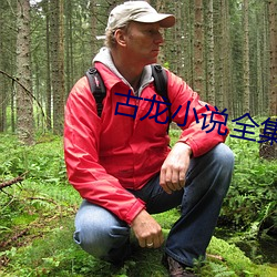 古(g¨³)龙小说全(quán)集