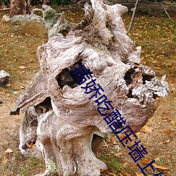 病娇吃醋压墙上做