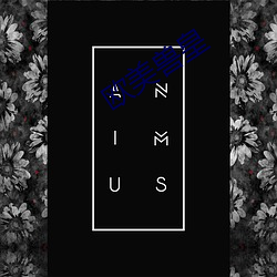欧(歐)美兽皇(皇)