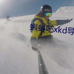 蝌蚪吧xkd导福航 （骑驴索句）