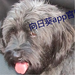 向日葵app官网入口 （田螺）