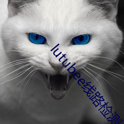 lutubee線路檢測入口