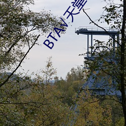 BT√天堂中文在线官网