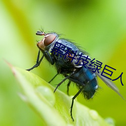 尊龙凯时·(中国)官方网站