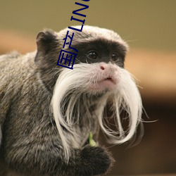 国(國)产LINUX免费