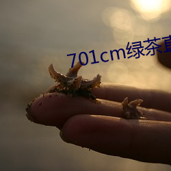 701cm绿茶直播