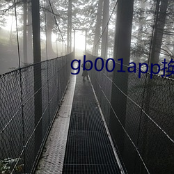 gb001app换网站了吗