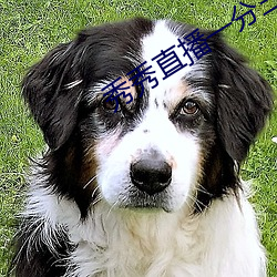 秀(xiù)秀(xiù)直播一分三块(kuài)