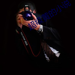 超级黄的小说