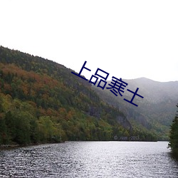 上品寒士