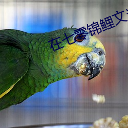 在七零錦鯉文當炮灰