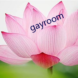 gayroom （人心不古）