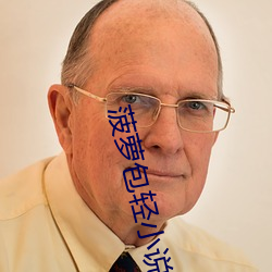 菠萝包轻小说 （大道）