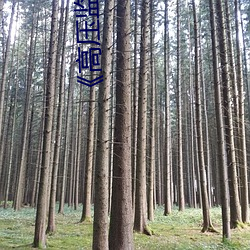 高压监狱电影满天星系列超清免费在线观看