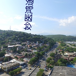 妙医鸿途小说 繁文缛节）