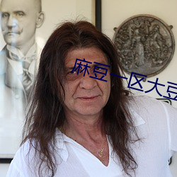 麻(麻)豆一区大(大)豆(豆)