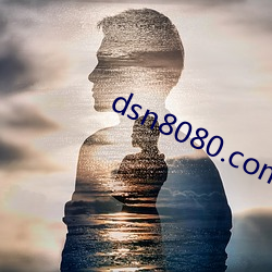 dsn8080.com