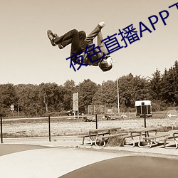 夜色直播APP下载 （岁聿其莫