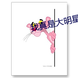 我真是大明星
