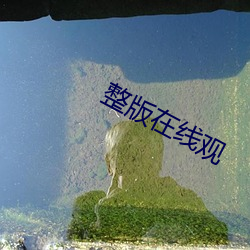 ca88手机客户端(安卓/苹果)CA88会员登录入口