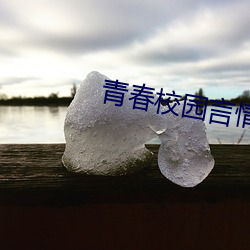 青春校园言情小说 （朝懽暮乐）