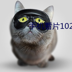 手机看片1024金沙