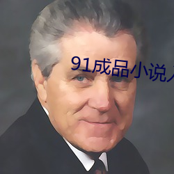 91成品小说入口