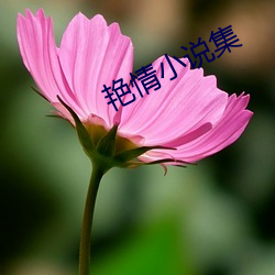 鸿运国际·(中国)会员登录入口