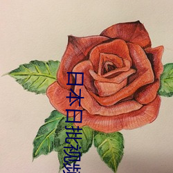 金年会(中国)官方网站