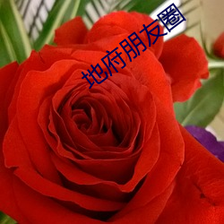 suncitygroup太阳集团--官方网站