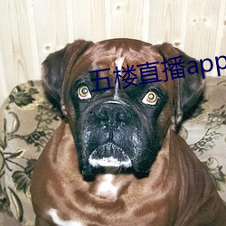 九游会登录j9入口 - 中国官方网站 | 真人游戏第一品牌