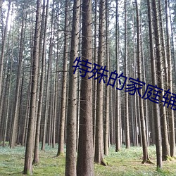金年会(中国)官方网站