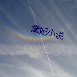黛妃小說