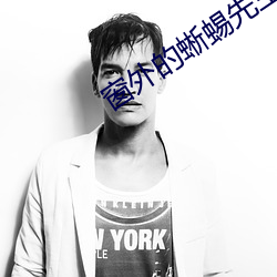 窗外的蜥蜴先生