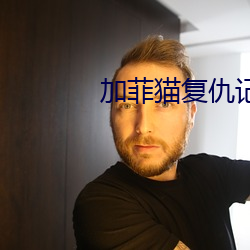 加(ji)菲(fēi)猫复仇(chu)记
