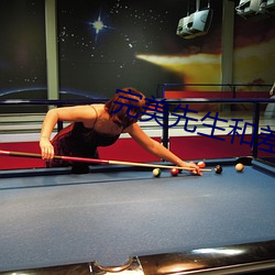 完美先生和差不多小姐小说