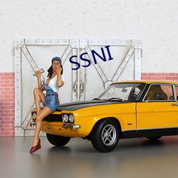 SSNI