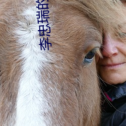 李忠瑞的视频