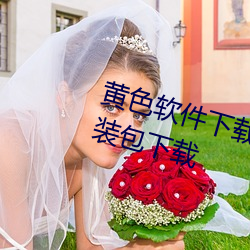 黄色软件下载免费3.0.3破解(ji��)vivo安装包下载