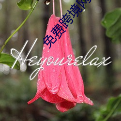 免(免)费跨境(境)网站