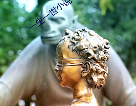 一生(shēng)一世(shì)小说(shuō)