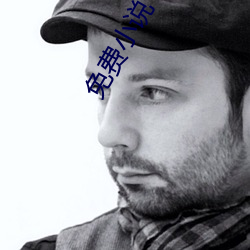 免费小说下载 （眼不著砂）