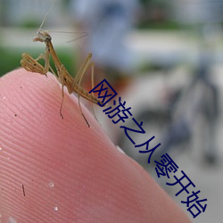 網遊之從零開始