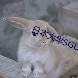 日本大学SGU大二大三