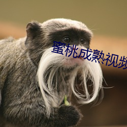 蜜桃成熟视频(頻)